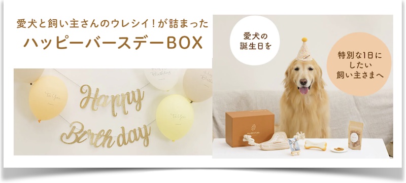 獣医師監修|愛犬の誕生日を特別な一日に！【MyBESTiee】情報サイト